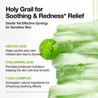 ANUA SOOTHING PAD AZELAIC 10+ HYALURON 90 PADS